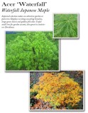 acer-waterfall